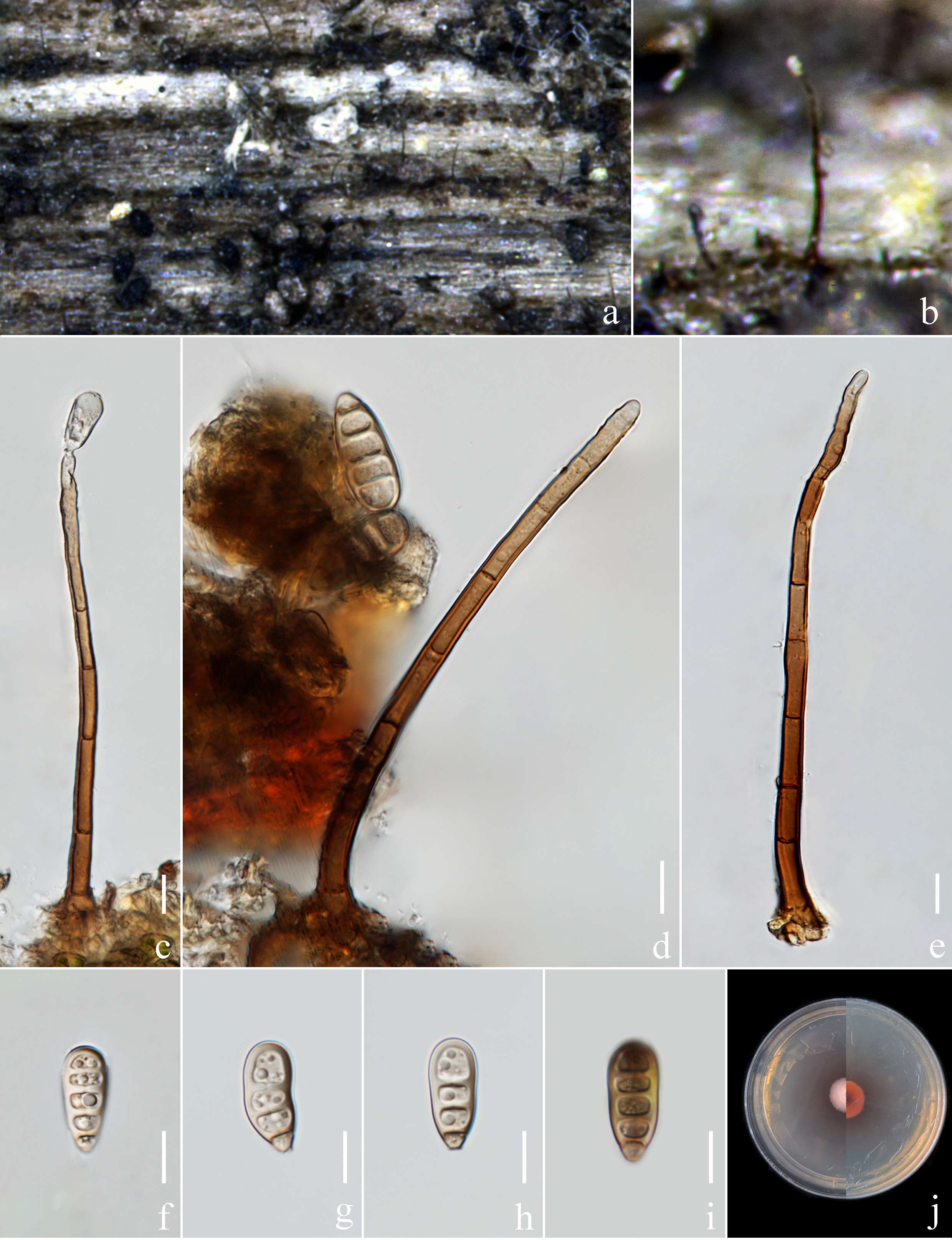 Figure 138